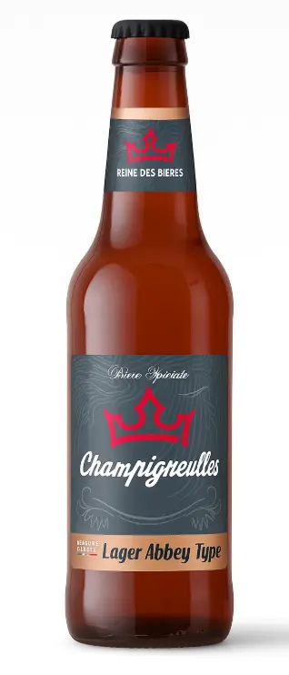 Bière Champigneulles Abbaye 6,2° 18 x 33cl 